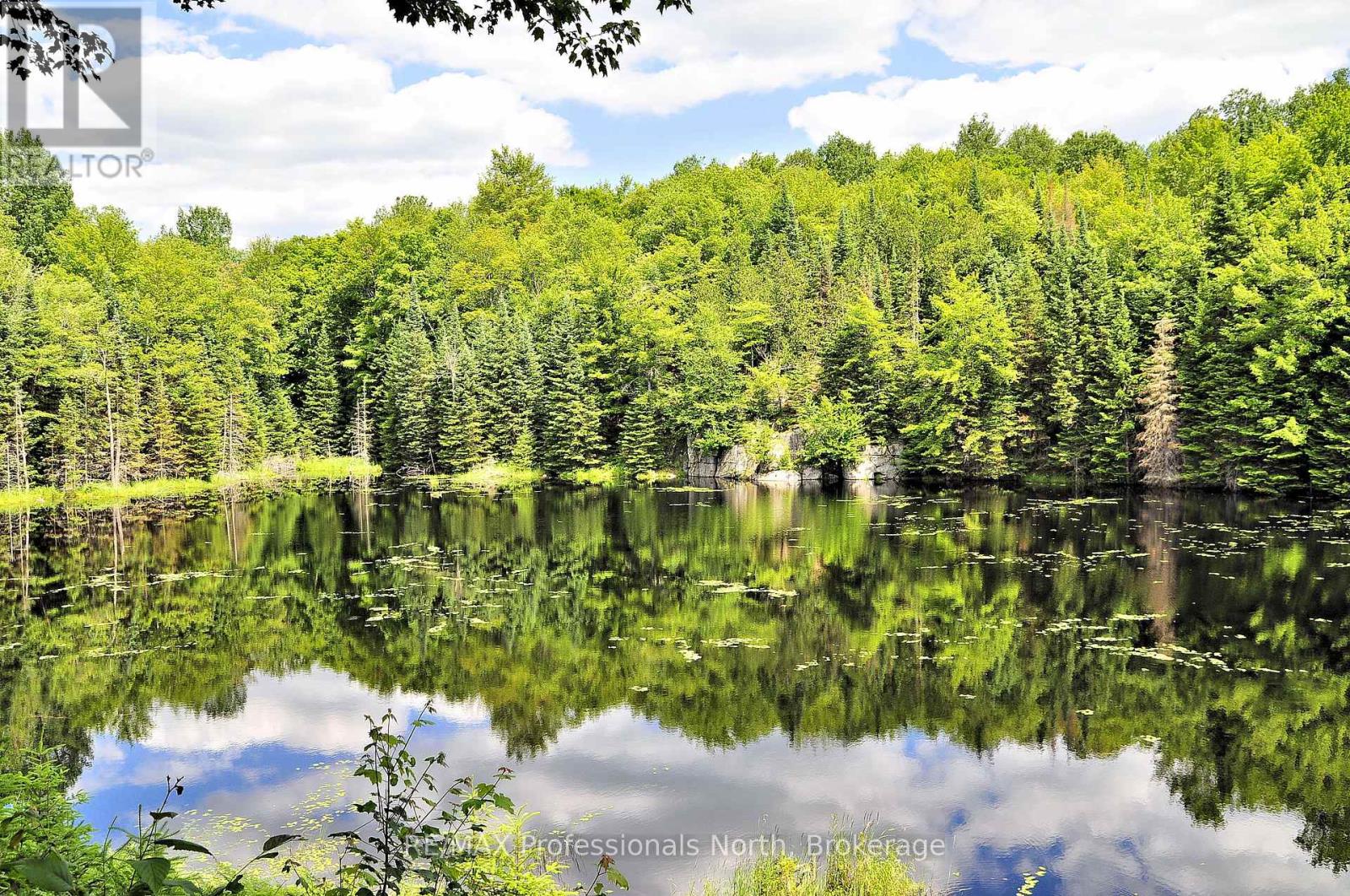 1966 Bacon Road, Minden Hills (Snowdon), Ontario  K0M 2A1 - Photo 39 - X12456562