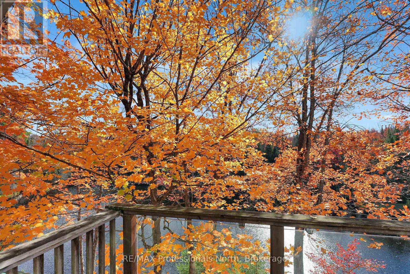 1966 Bacon Road, Minden Hills (Snowdon), Ontario  K0M 2A1 - Photo 8 - X12456562