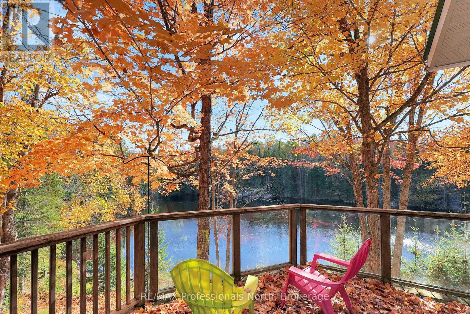 1966 Bacon Road, Minden Hills (Snowdon), Ontario  K0M 2A1 - Photo 9 - X12456562