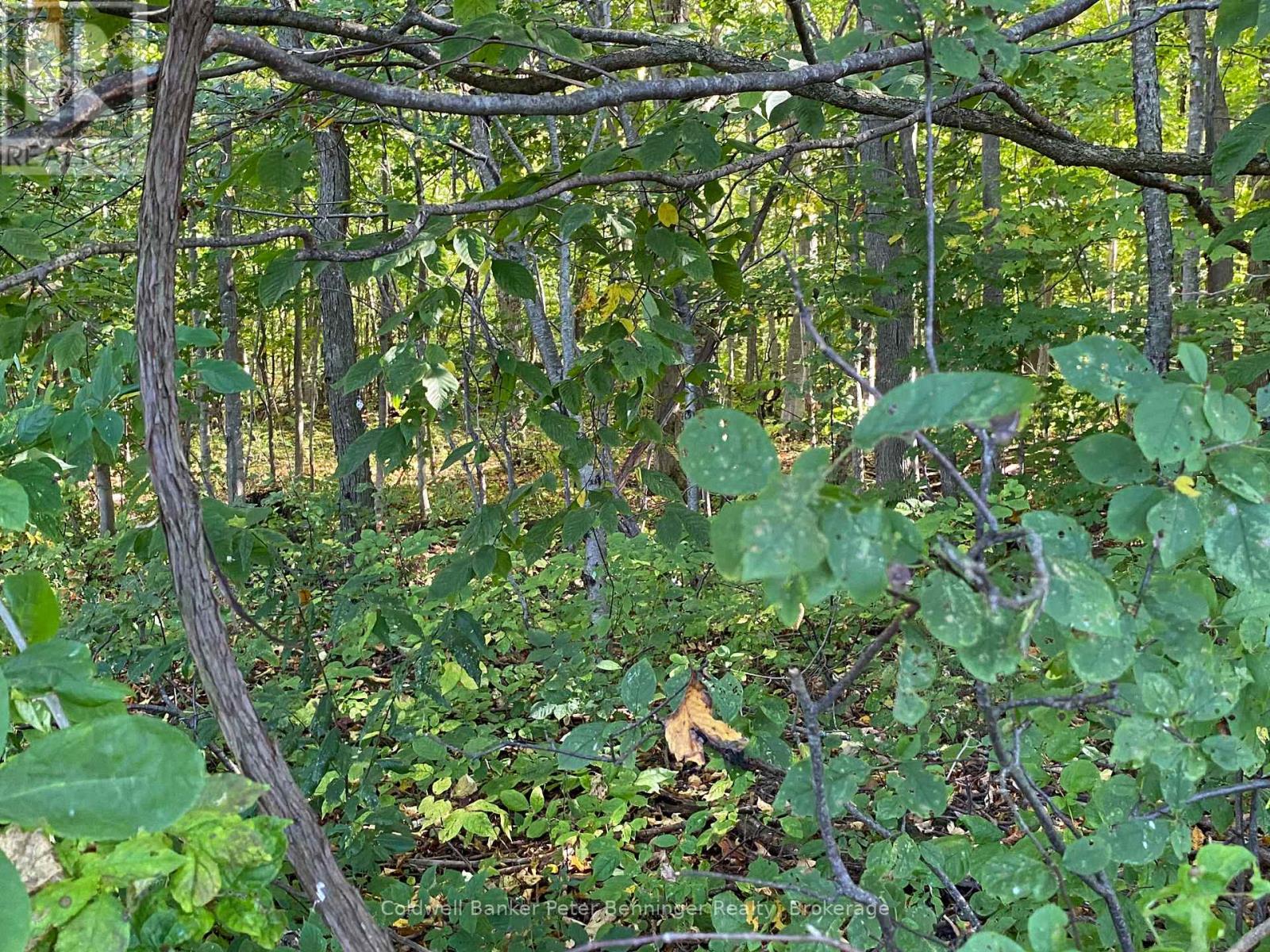 1315 Concession 8 Concession, Kincardine, Ontario  N0G 2T0 - Photo 16 - X12456570