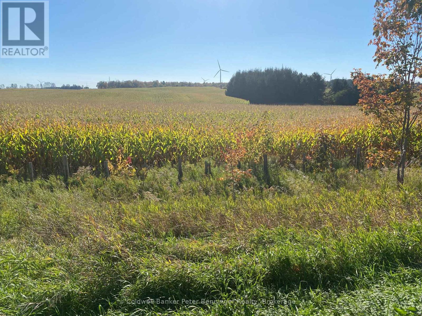 1315 Concession 8 Concession, Kincardine, Ontario  N0G 2T0 - Photo 2 - X12456570