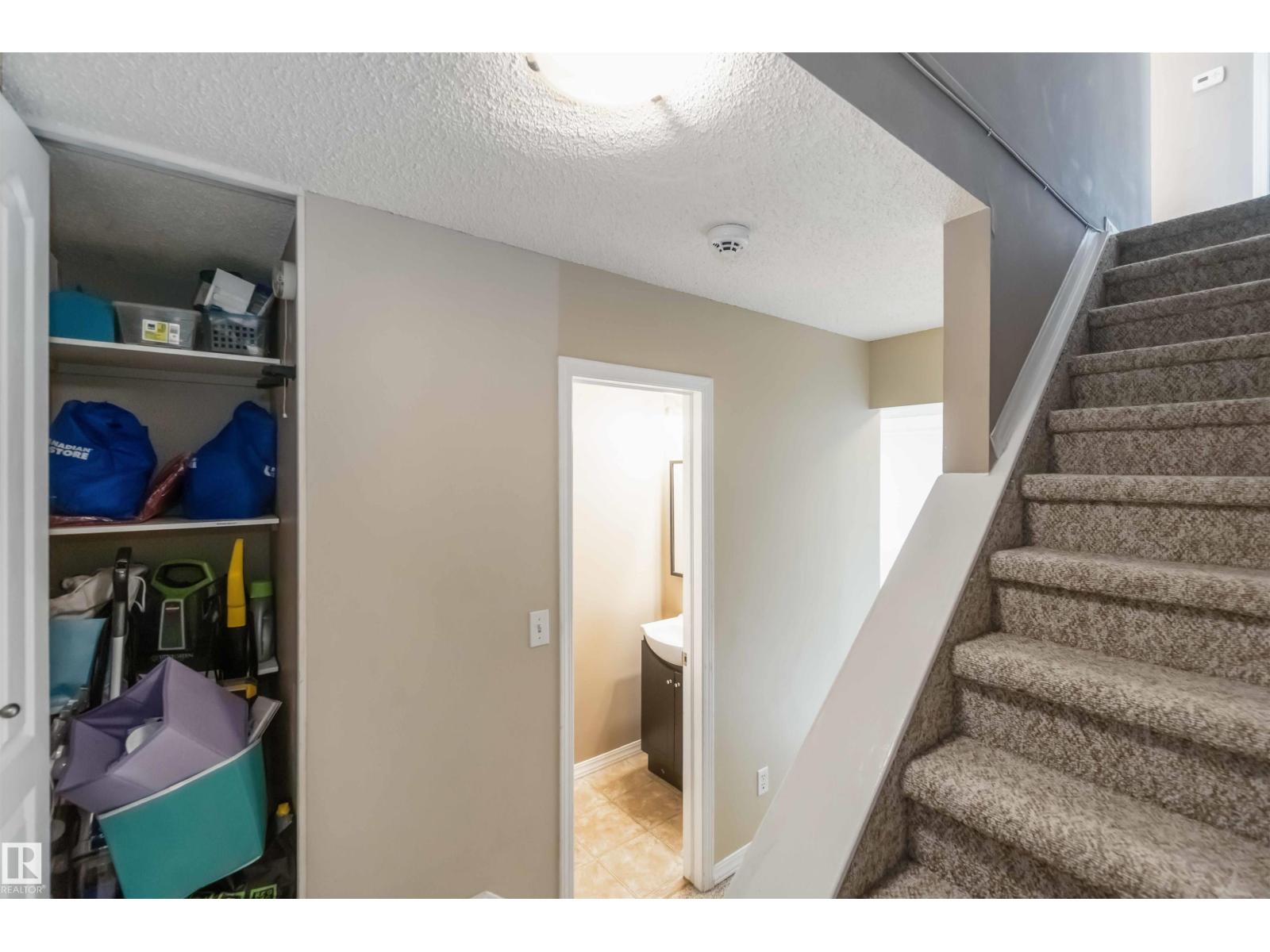 324 Grandin Vg, St. Albert, Alberta  T8N 2R6 - Photo 21 - E4461538