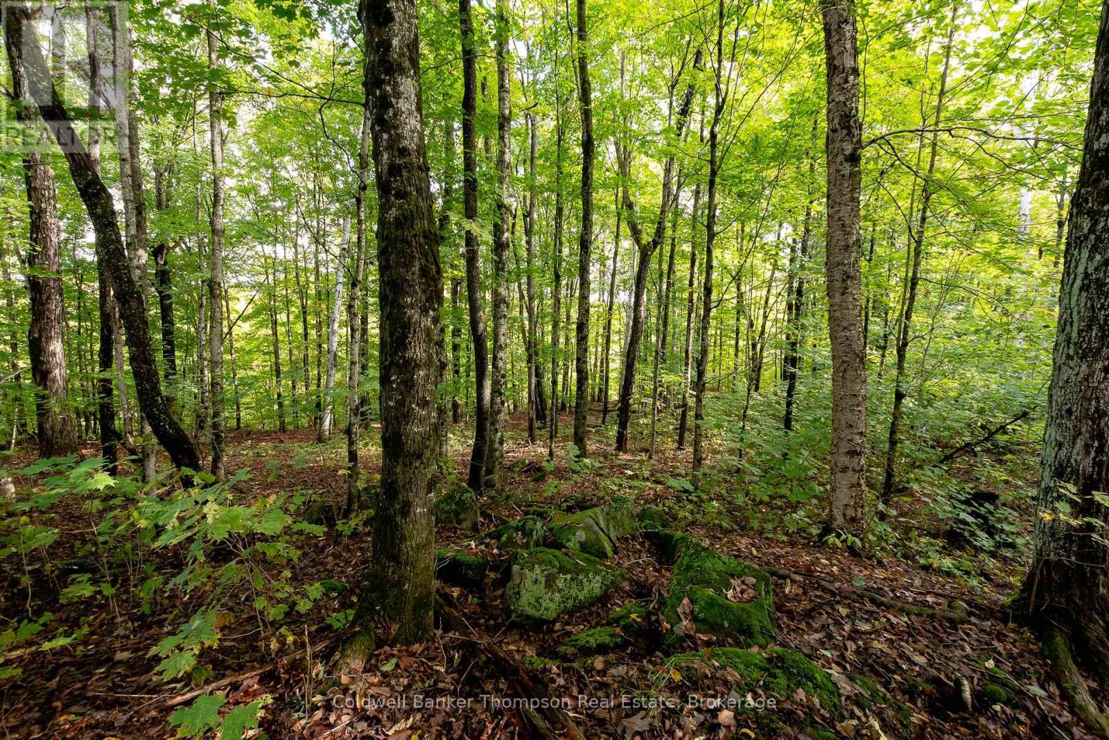 N/a Skyline Drive, Armour, Ontario  P0A 1C0 - Photo 15 - X12456692