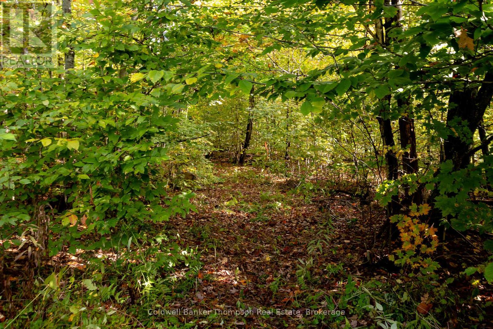 N/a Skyline Drive, Armour, Ontario  P0A 1C0 - Photo 23 - X12456692