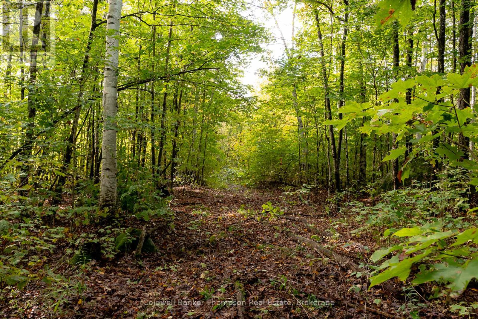 N/a Skyline Drive, Armour, Ontario  P0A 1C0 - Photo 24 - X12456692