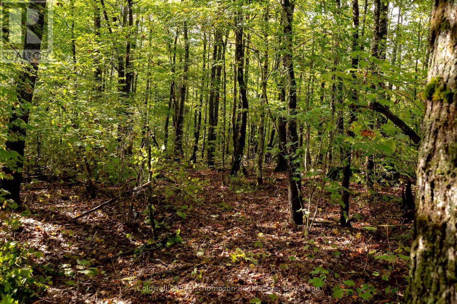 N/a Skyline Drive, Armour, Ontario  P0A 1C0 - Photo 25 - X12456692
