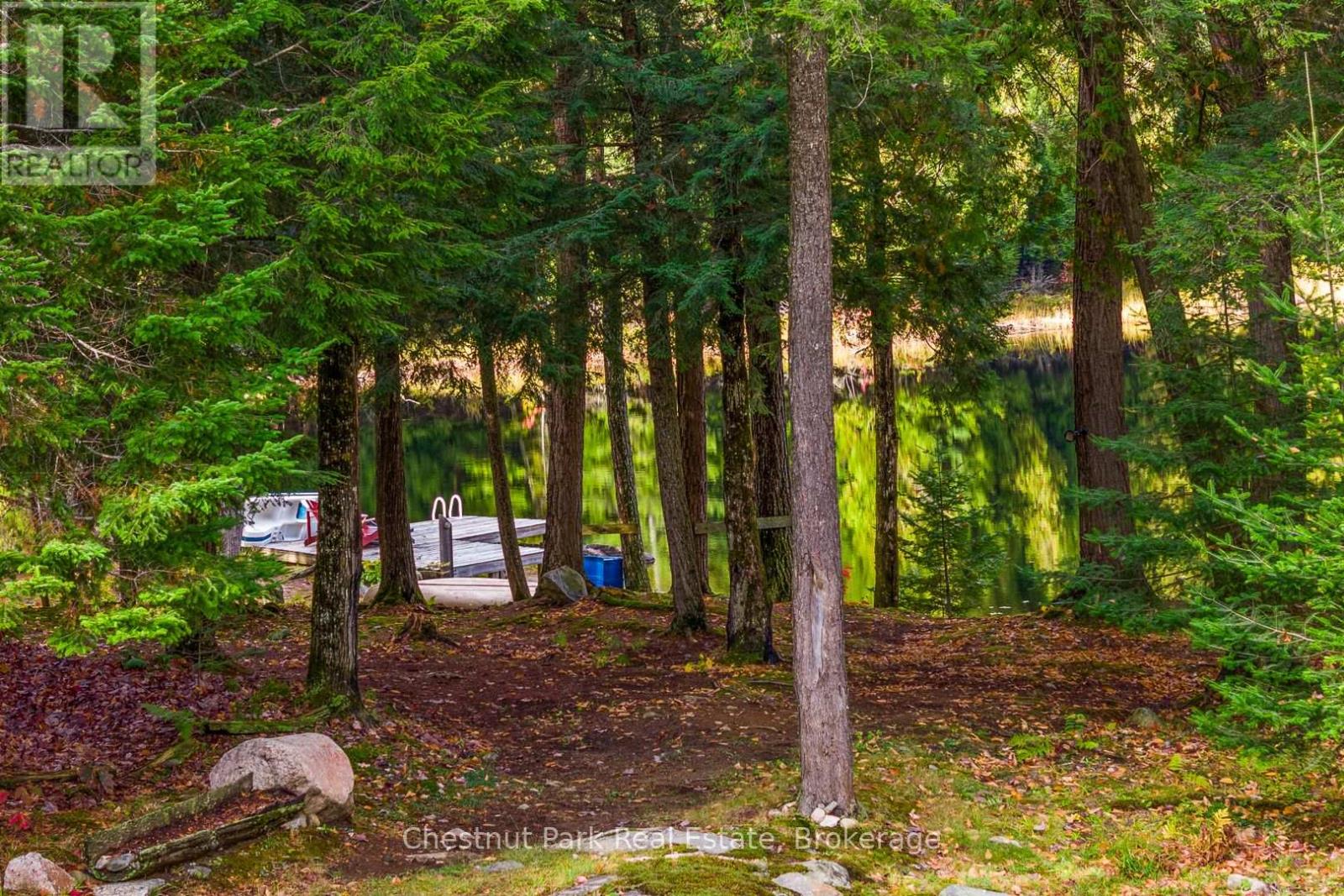 121 Poor Mans Road, Parry Sound Remote Area, Ontario  P0A 1X0 - Photo 39 - X12456724