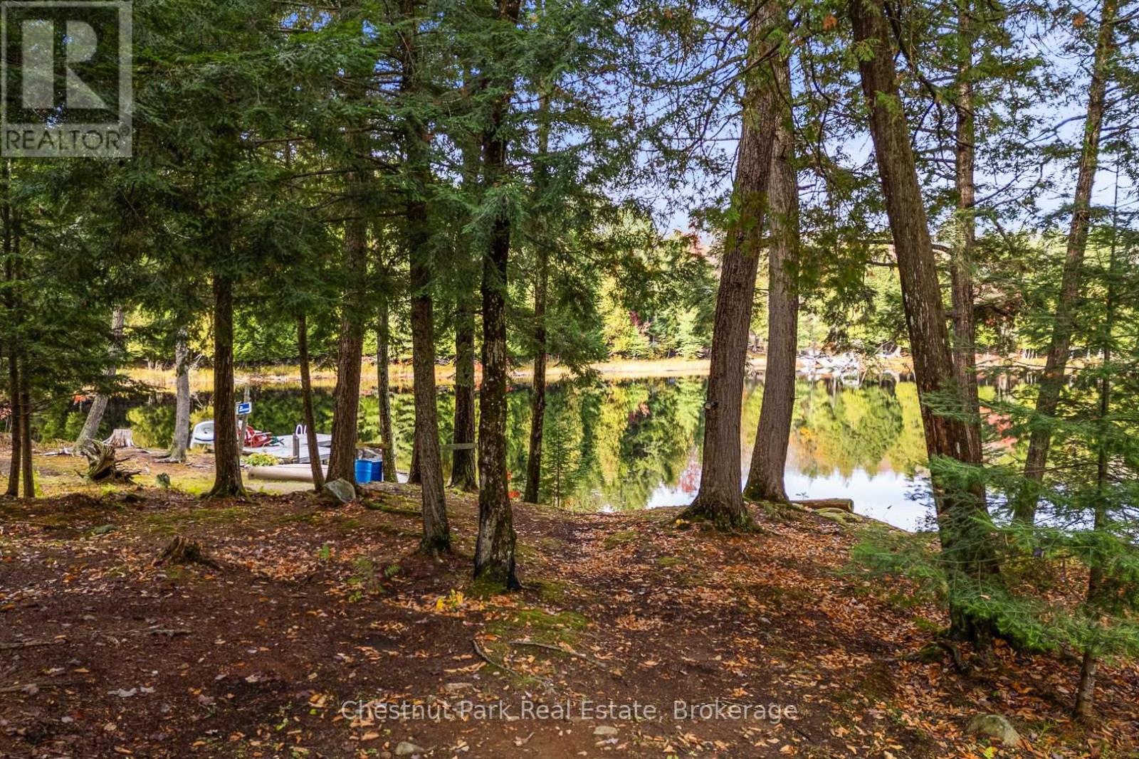 121 Poor Mans Road, Parry Sound Remote Area, Ontario  P0A 1X0 - Photo 40 - X12456724