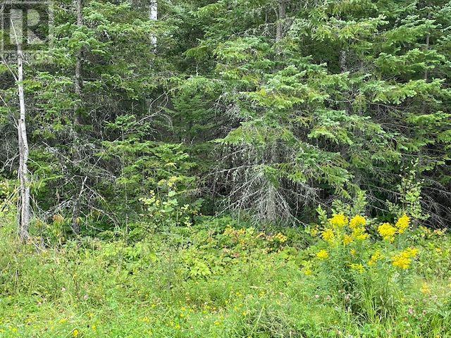 131 Lakeview Rd, Dryden, Ontario  P8N 2Y4 - Photo 12 - TB253194