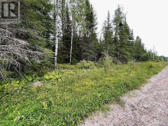 131 Lakeview Rd, Dryden, Ontario  P8N 2Y4 - Photo 14 - TB253194