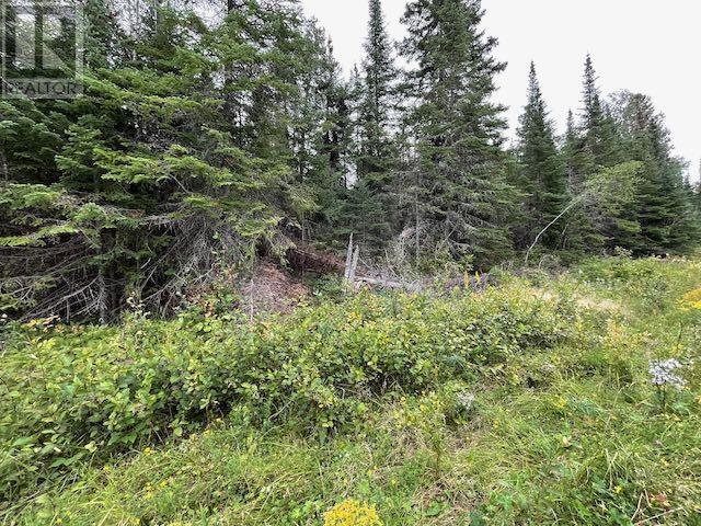 131 Lakeview Rd, Dryden, Ontario  P8N 2Y4 - Photo 15 - TB253194
