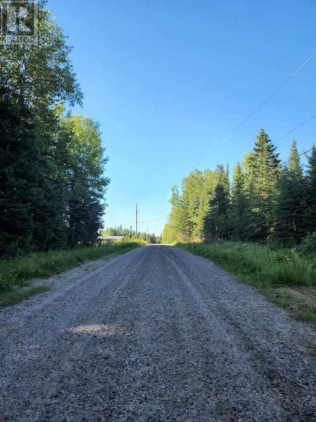 131 Lakeview Rd, Dryden, Ontario  P8N 2Y4 - Photo 2 - TB253194