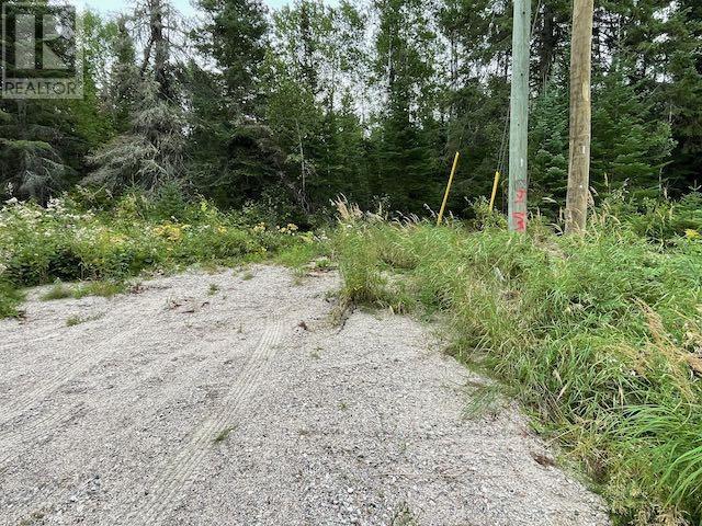 131 Lakeview Rd, Dryden, Ontario  P8N 2Y4 - Photo 6 - TB253194