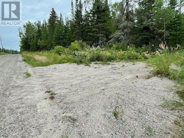 131 Lakeview Rd, Dryden, Ontario  P8N 2Y4 - Photo 7 - TB253194