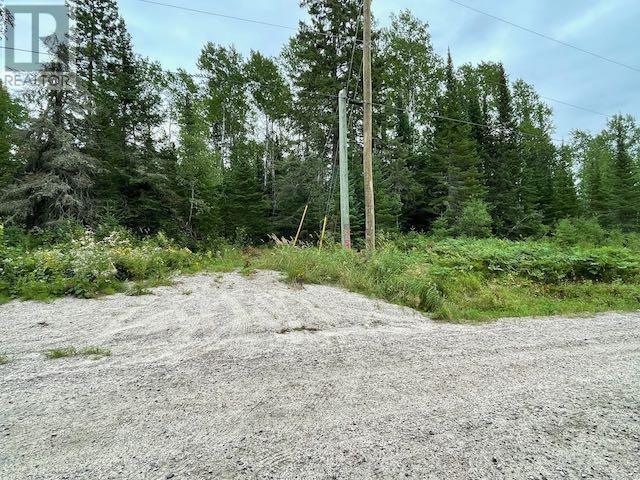 131 Lakeview Rd, Dryden, Ontario  P8N 2Y4 - Photo 8 - TB253194