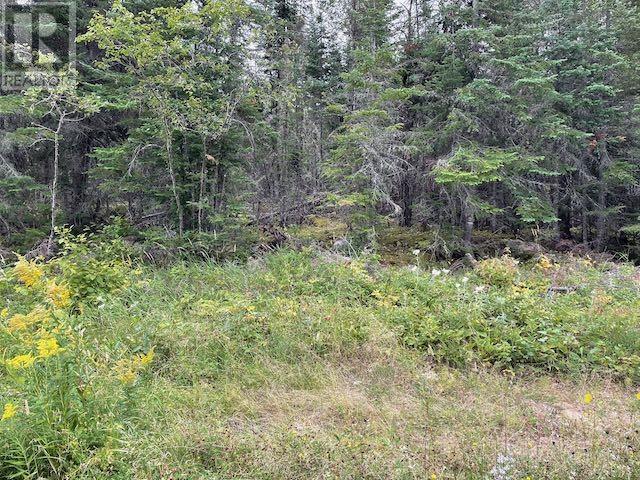 131 Lakeview Rd, Dryden, Ontario  P8N 2Y4 - Photo 9 - TB253194