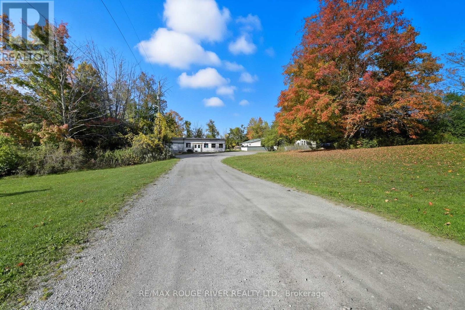 122 County Road 4 Road E, Douro-Dummer, Ontario  K0L 1S0 - Photo 3 - X12456644