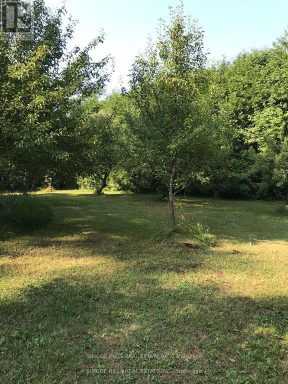 185 Medonte Sideroad 2 Road, Oro-Medonte, Ontario  L0K 1E0 - Photo 32 - S12456457