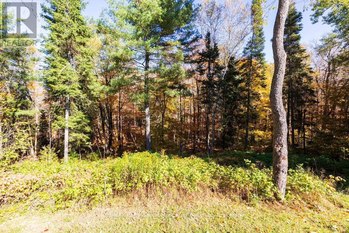 312 Centre Road, Mckellar, Ontario  P2A 0B4 - Photo 41 - X12456841