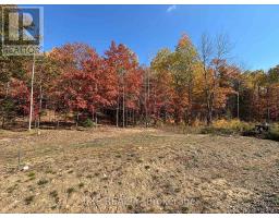 LOT 40, 00 YANTHA CRESCENT, Madawaska Valley, Ontario