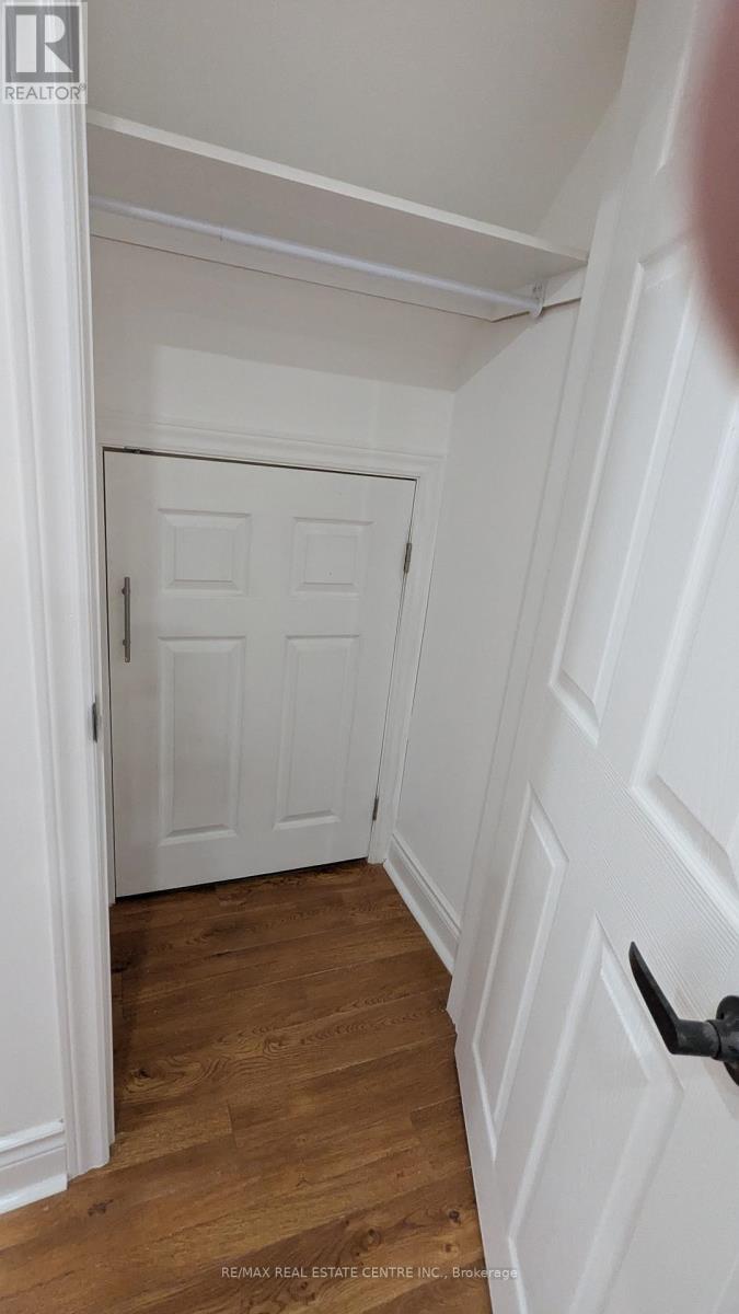 Basement - 21 Summerdale Crescent, Brampton, Ontario  L6X 4V8 - Photo 11 - W12456733