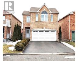 BASEMENT - 21 SUMMERDALE CRESCENT, Brampton, Ontario