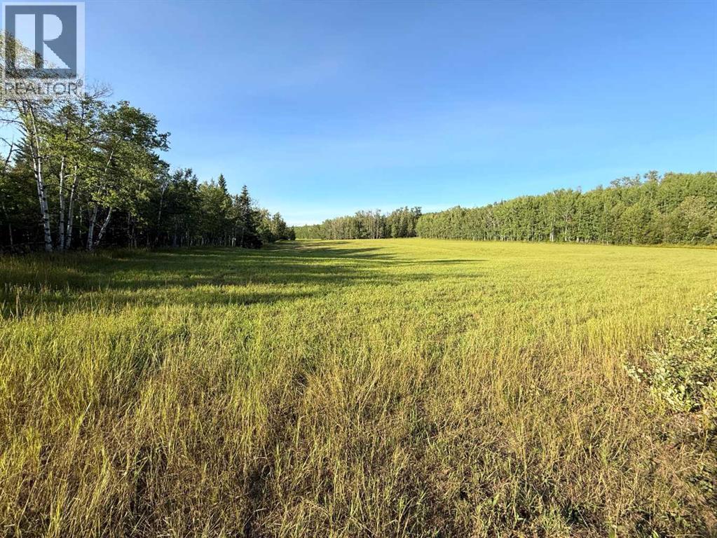 640002 Range Road 230.6, Rural Athabasca County, Alberta T0G 1T0 - Photo 49 - A2248013