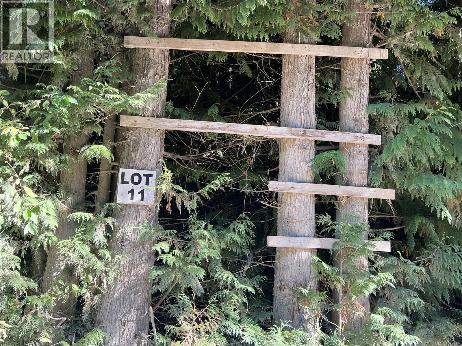 Lot 11 Alice Lake, Port Alice, British Columbia  V0N 2N0 - Photo 6 - 1017274