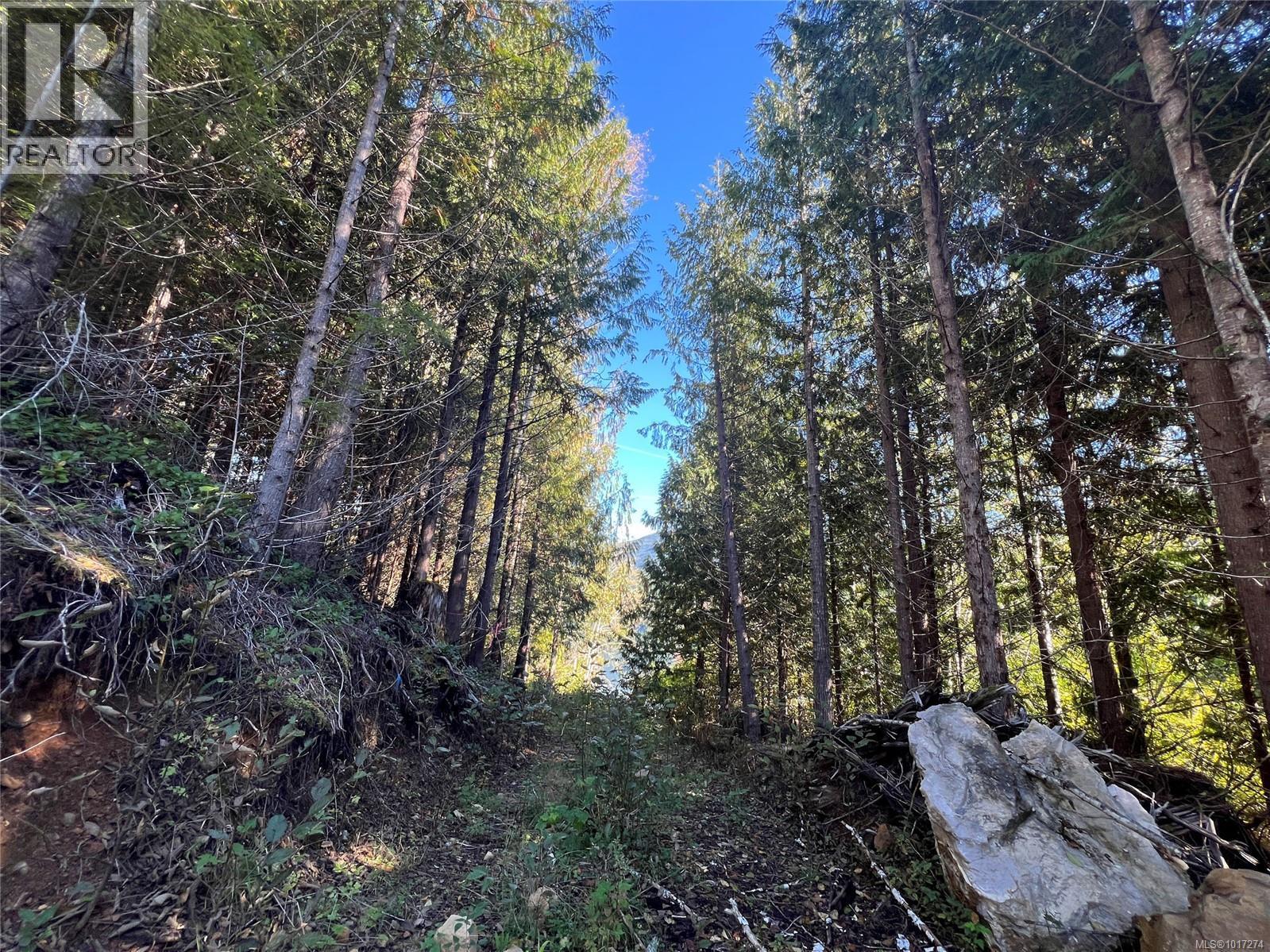 Lot 11 Alice Lake, Port Alice, British Columbia  V0N 2N0 - Photo 10 - 1017274