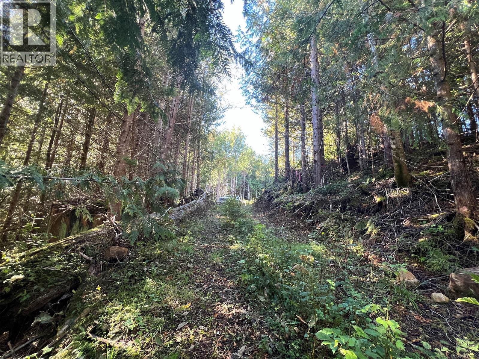 Lot 11 Alice Lake, Port Alice, British Columbia  V0N 2N0 - Photo 11 - 1017274