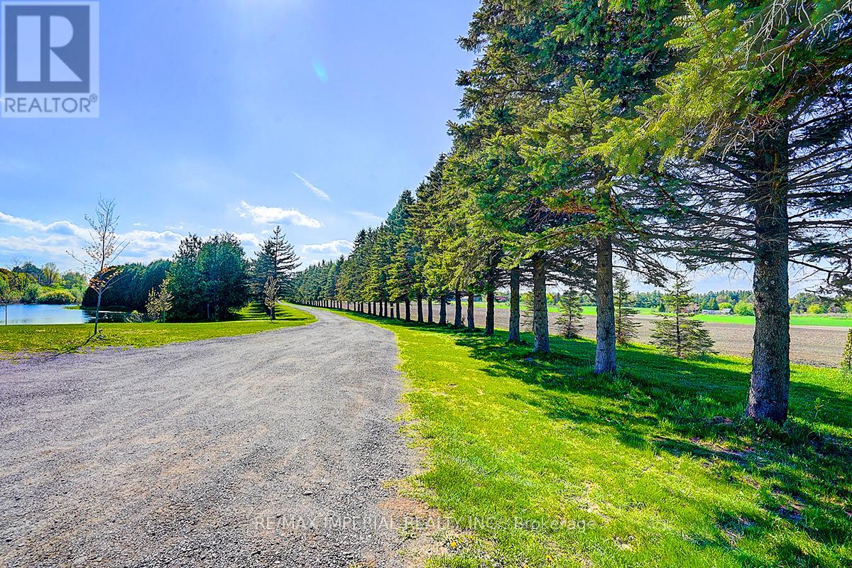 13969 Kennedy Road, Whitchurch-Stouffville, Ontario  L4A 4B4 - Photo 43 - N12456778