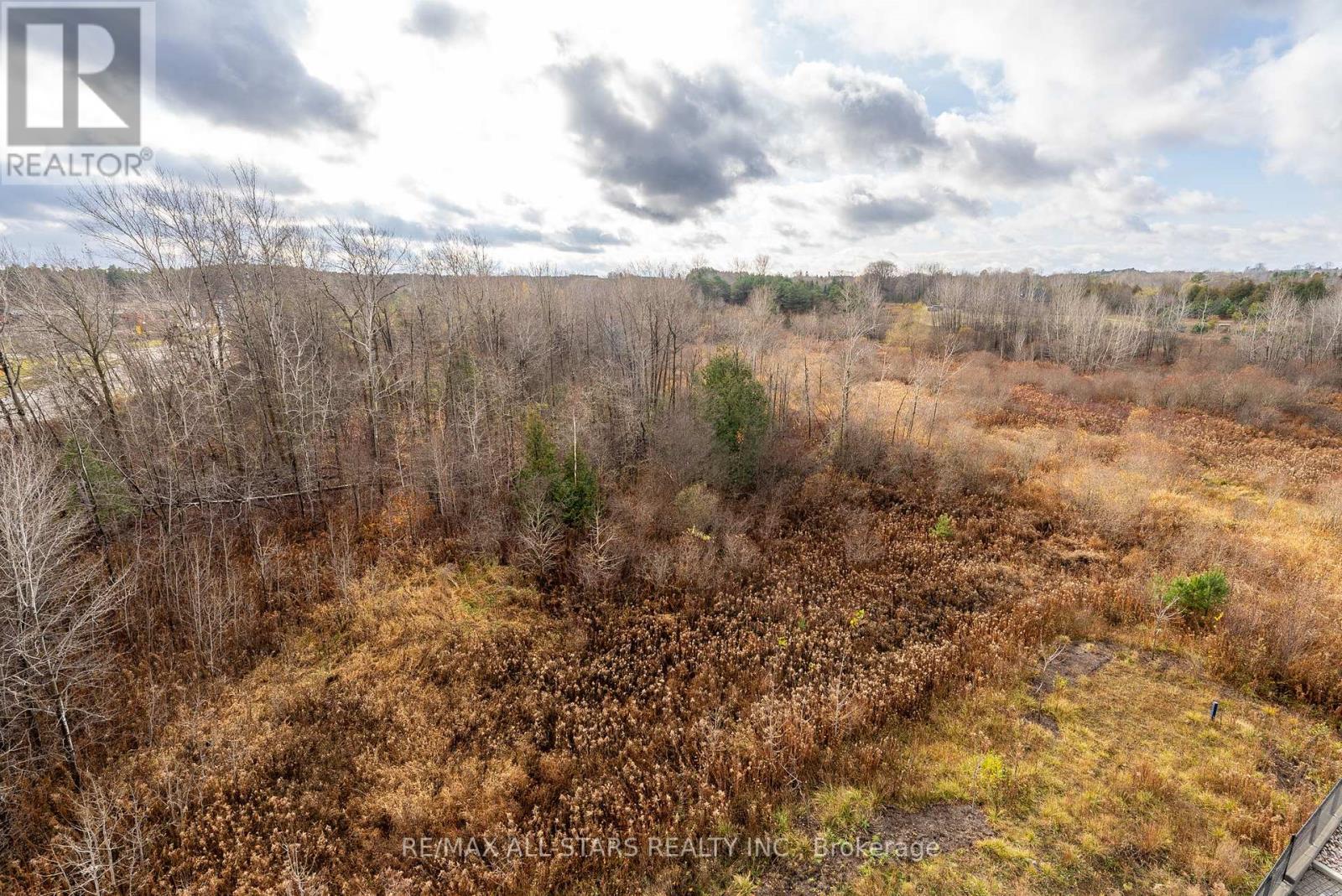 303 - 164 Cemetery Road, Uxbridge, Ontario  L9P 0E9 - Photo 21 - N12454121