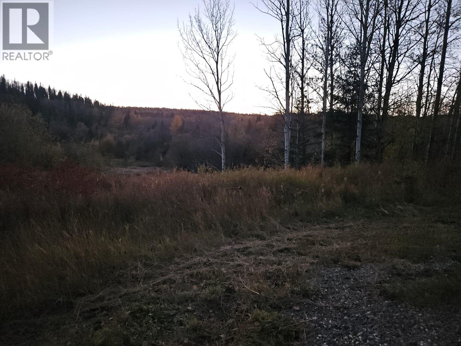 2601 Calliou Road, Chetwynd, British Columbia  V0C 1J0 - Photo 64 - 10365424