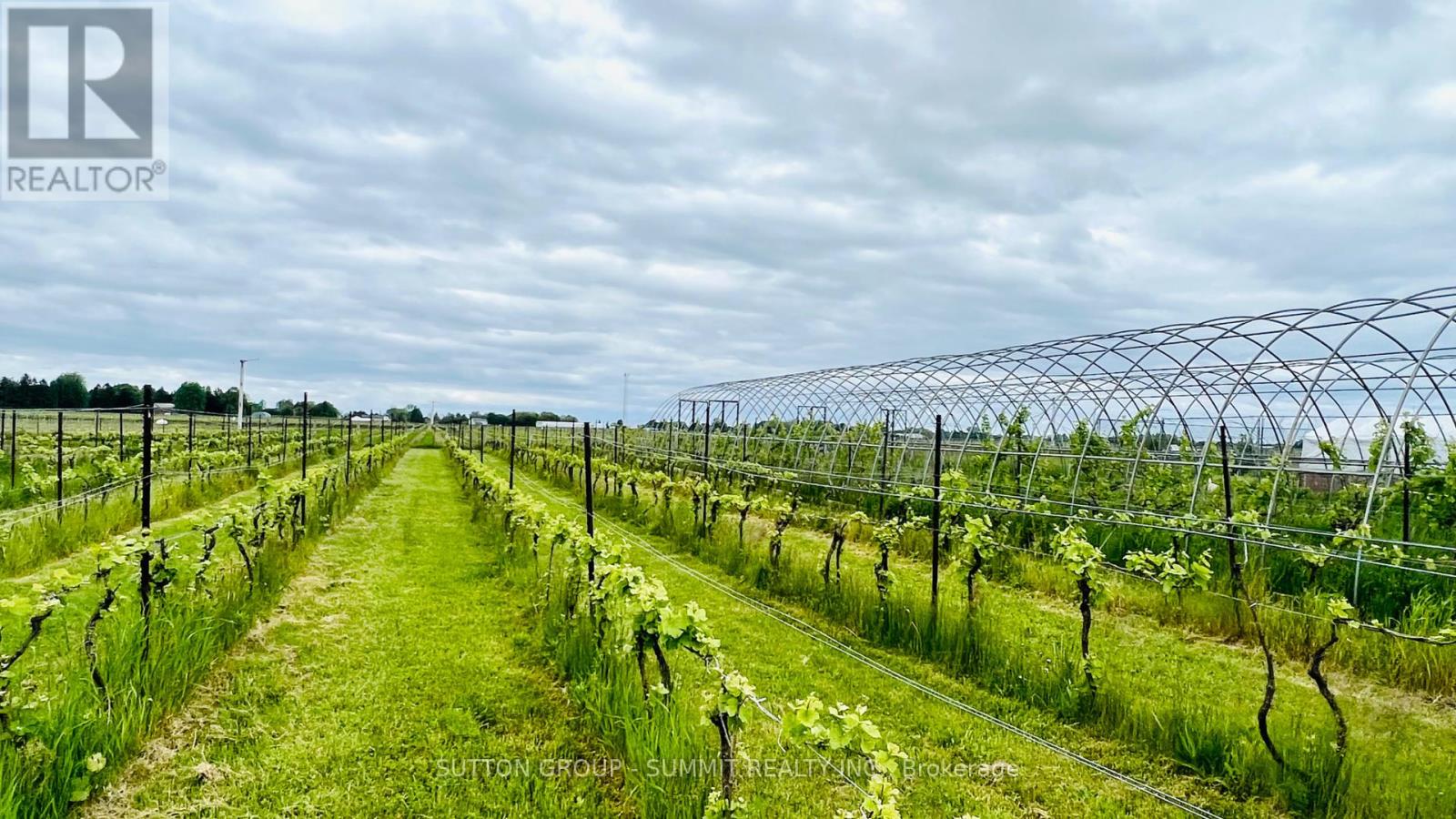 84 East West Line, Niagara-On-The-Lake, Ontario  L0S 1J0 - Photo 11 - X12456828