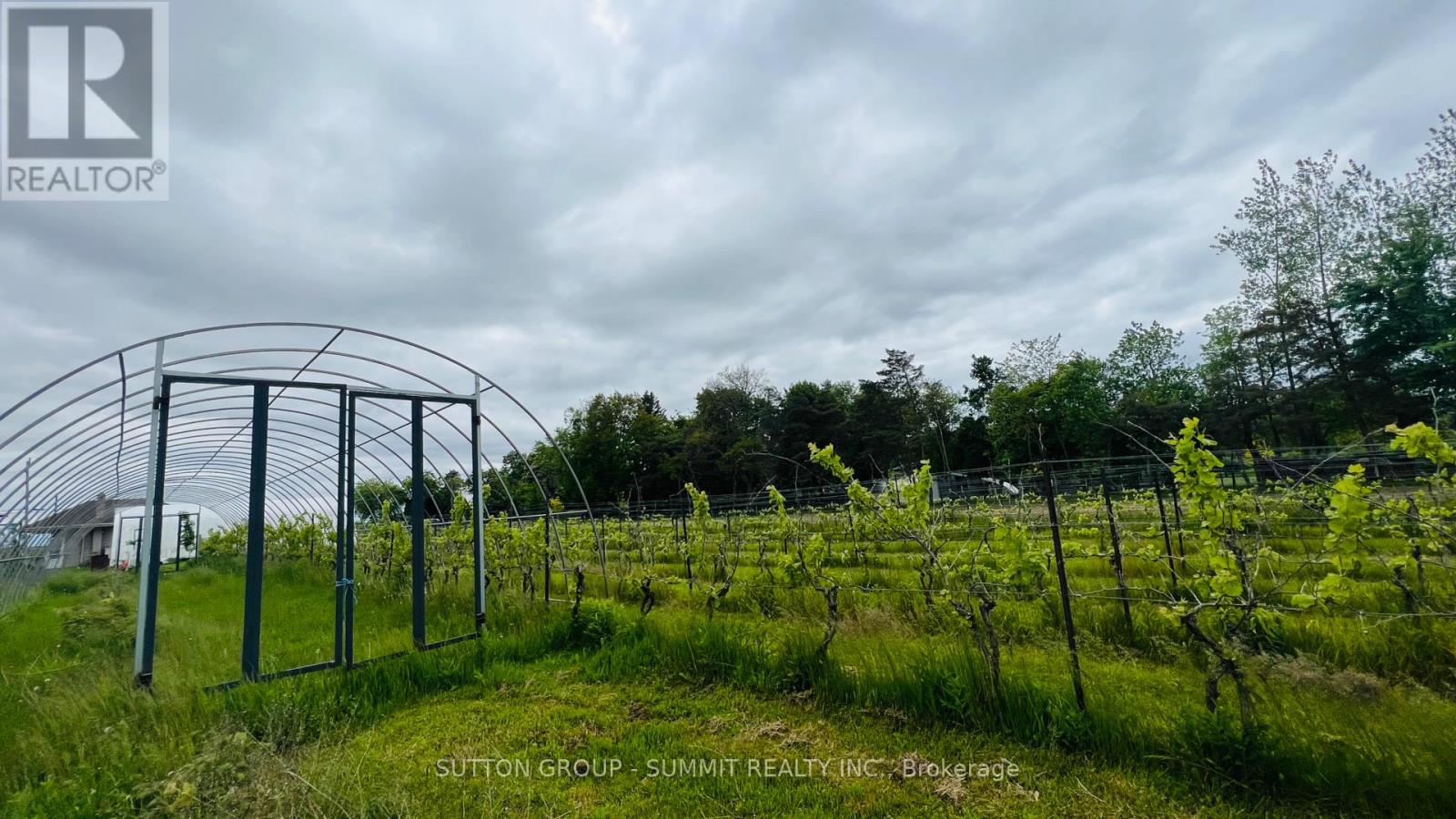 84 East West Line, Niagara-On-The-Lake, Ontario  L0S 1J0 - Photo 7 - X12456828