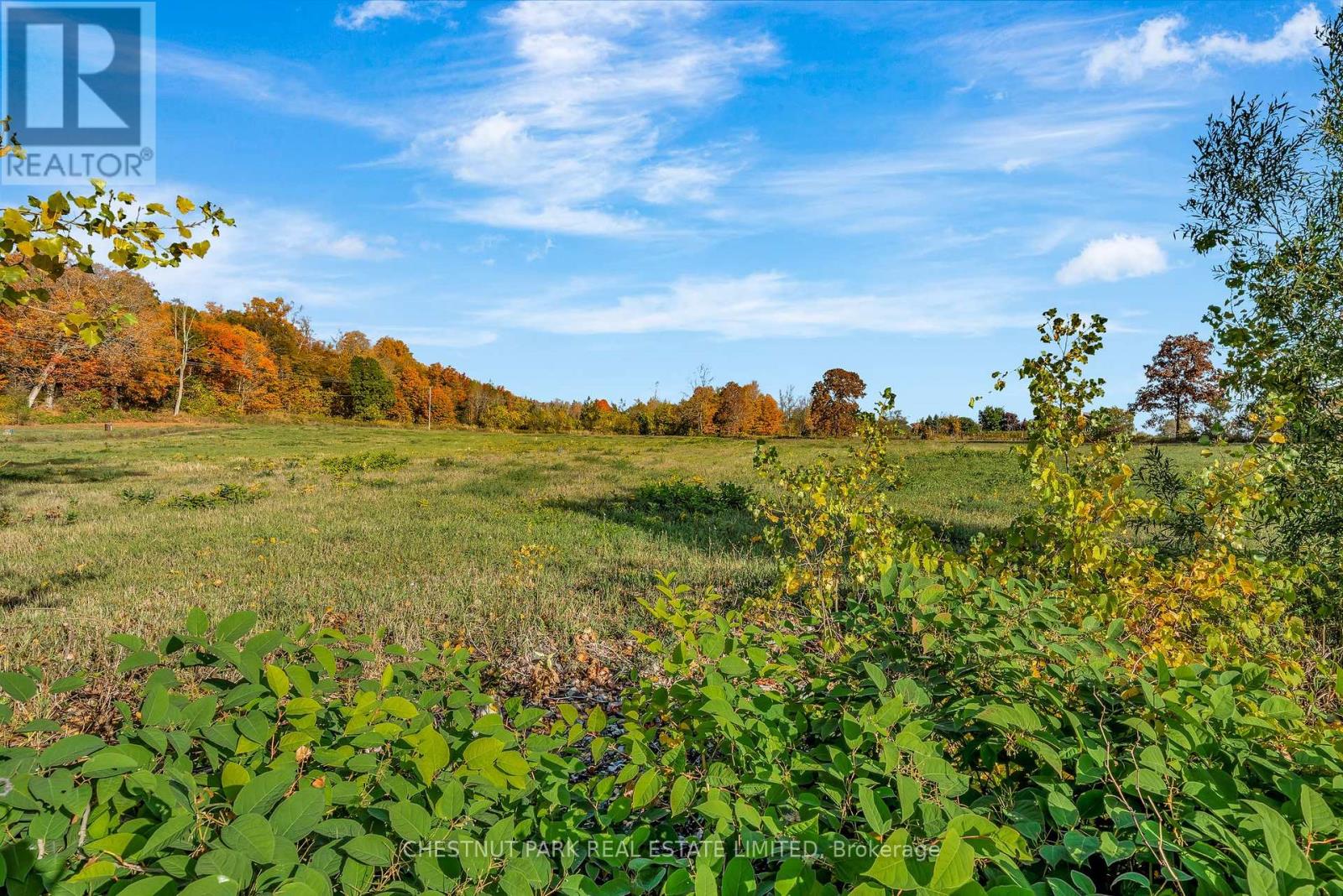 4176 County Road 8, Prince Edward County (North Marysburg Ward), Ontario  K0K 2T0 - Photo 24 - X12456895