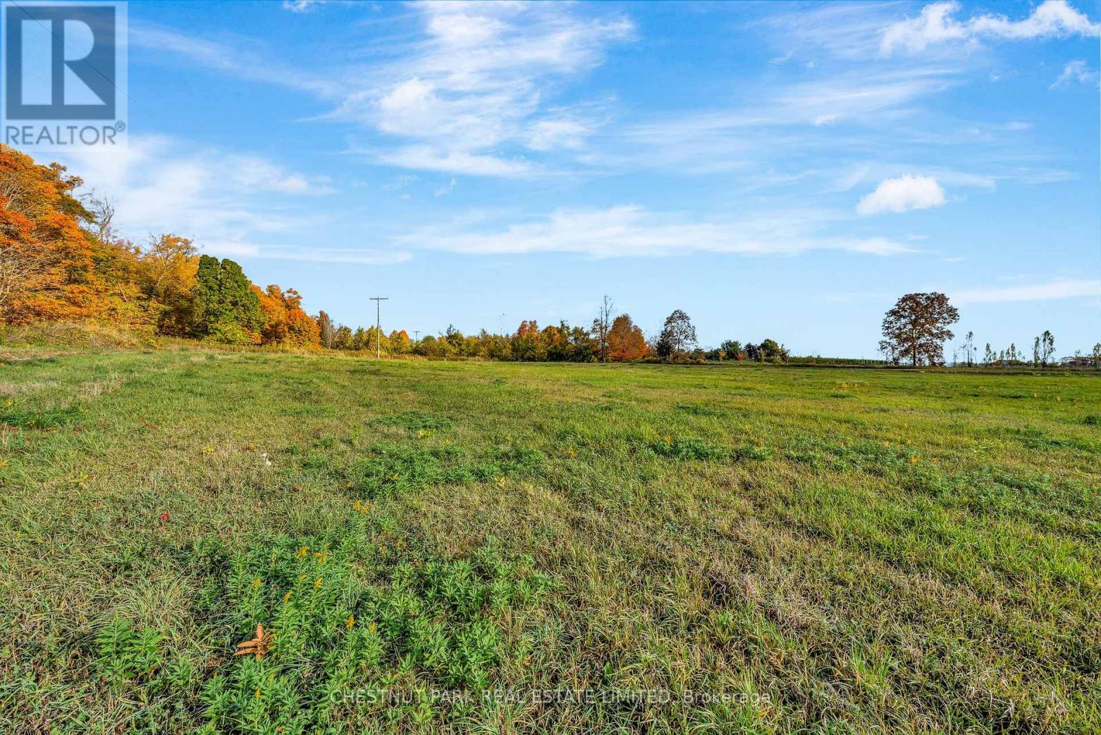 4176 County Road 8, Prince Edward County (North Marysburg Ward), Ontario  K0K 2T0 - Photo 27 - X12456895