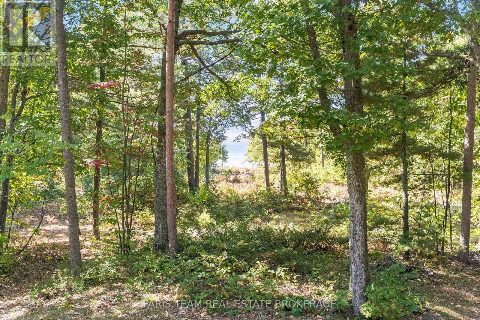 1292 Tiny Beaches Road N, Tiny, Ontario  L9M 0H3 - Photo 37 - S12434947