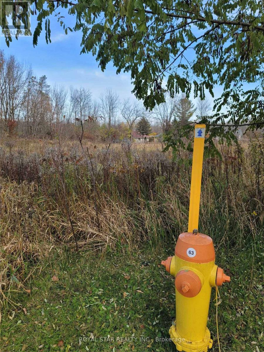 Lot #3 John Street, Severn, Ontario  L0K 1E0 - Photo 4 - S12456902