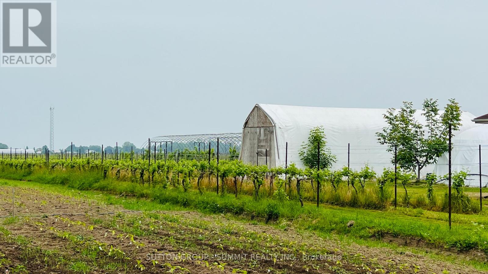 84 East West Line, Niagara-On-The-Lake, Ontario  L0S 1J0 - Photo 2 - X12456828