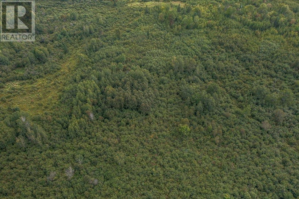 Mcknight Road East Side/north Of Hwy 17 Property 6, Property 6, Township Of Tarbutt, Ontario  P0R 1E0 - Photo 8 - SM252804