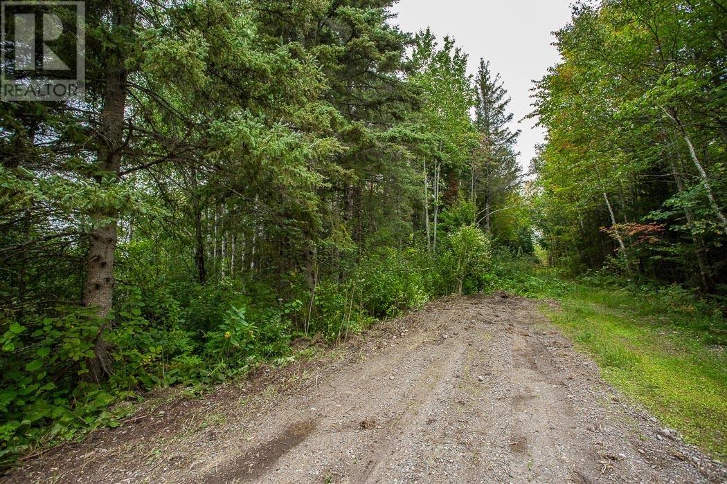 Calabogie Road/hwy 17 Ne Corner, Property 8, Township Of Laird, Ontario  P0R 1E0 - Photo 15 - SM252805