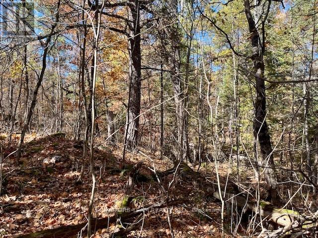 0 Foymount Road, Bonnechere Valley, Ontario  K0J 1T0 - Photo 11 - X12456971