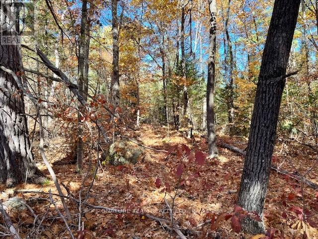 0 Foymount Road, Bonnechere Valley, Ontario  K0J 1T0 - Photo 12 - X12456971