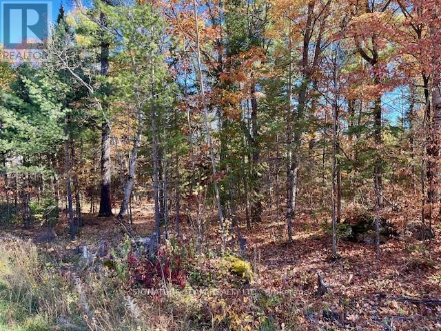 0 Foymount Road, Bonnechere Valley, Ontario  K0J 1T0 - Photo 13 - X12456971