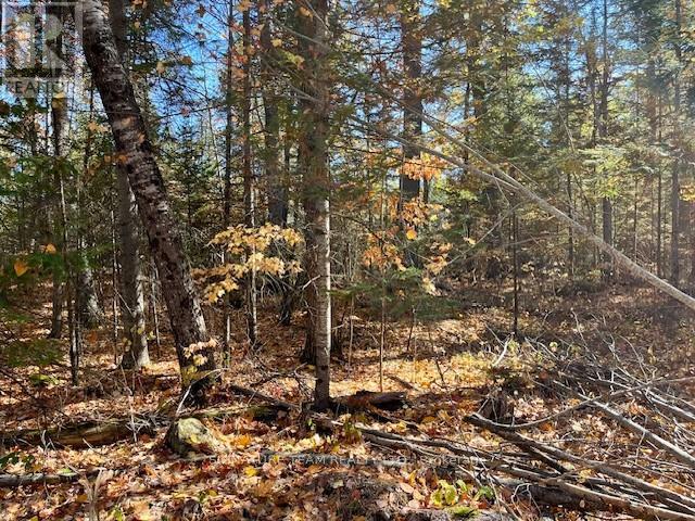 0 Foymount Road, Bonnechere Valley, Ontario  K0J 1T0 - Photo 15 - X12456971