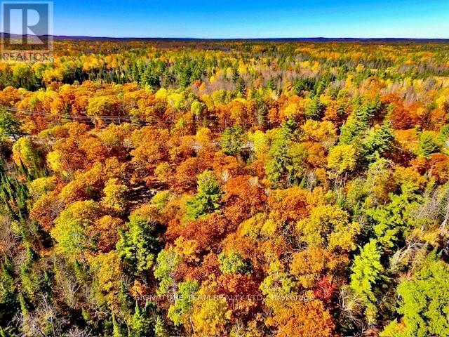 0 Foymount Road, Bonnechere Valley, Ontario  K0J 1T0 - Photo 20 - X12456971