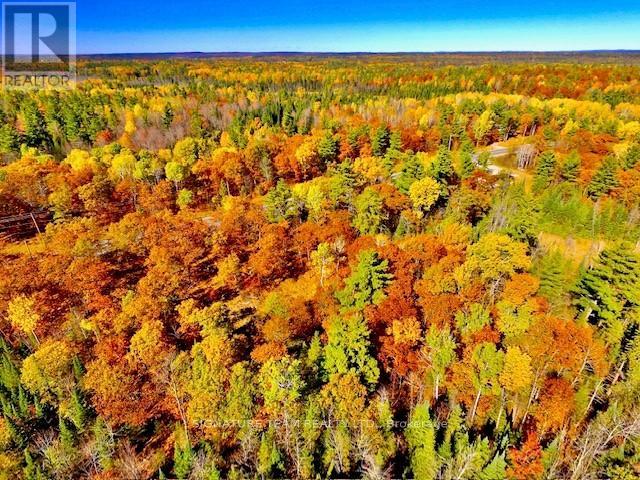 0 Foymount Road, Bonnechere Valley, Ontario  K0J 1T0 - Photo 21 - X12456971