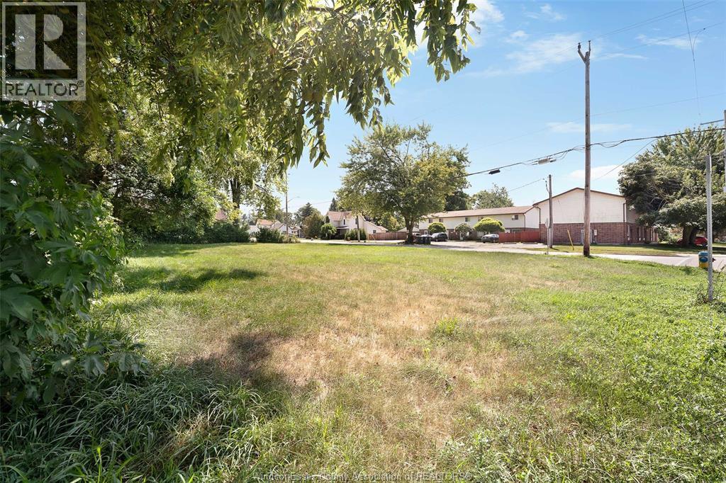 MLS# 25020769: 314 QUEEN STREET Unit# V/L, Harrow, Canada