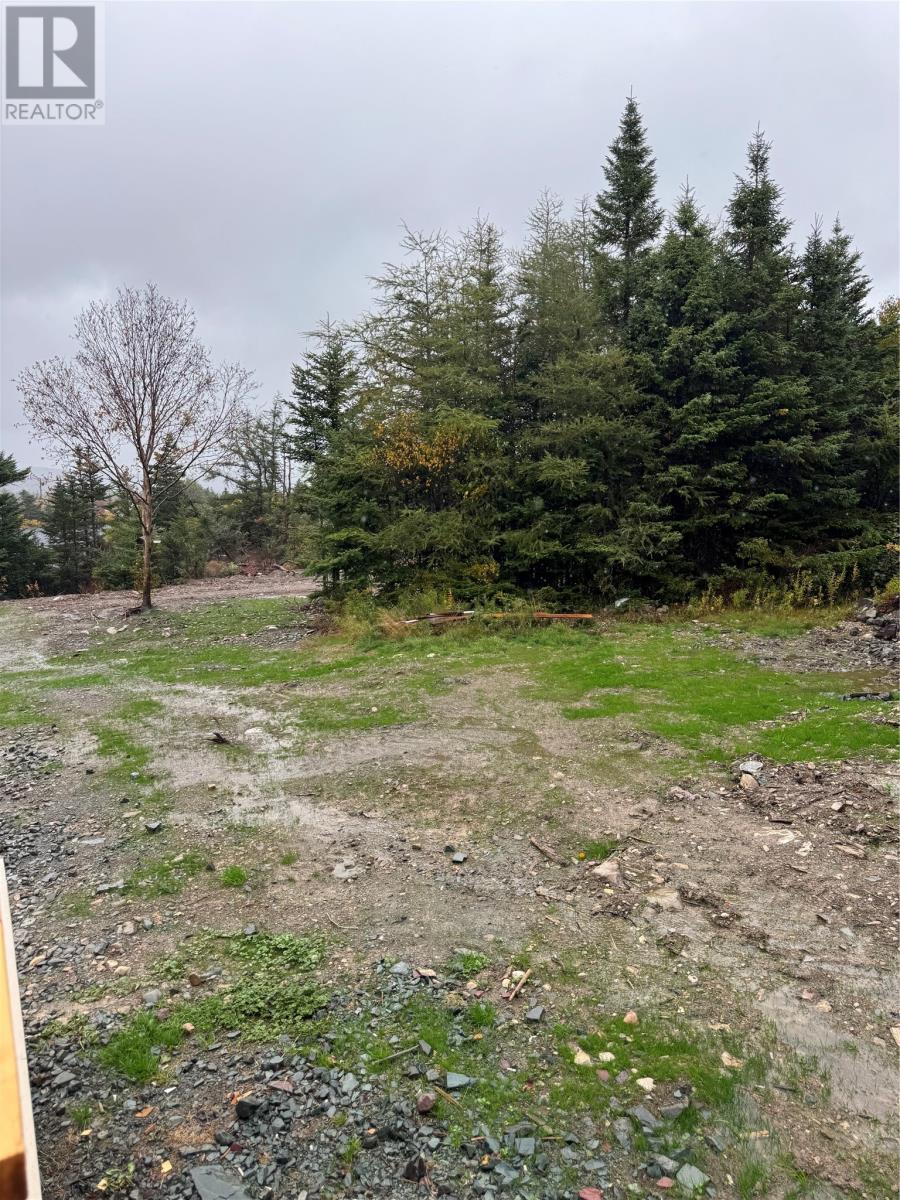 295-307 Cemetry Road, Brigus, Newfoundland & Labrador  A0A 1K0 - Photo 3 - 1291075